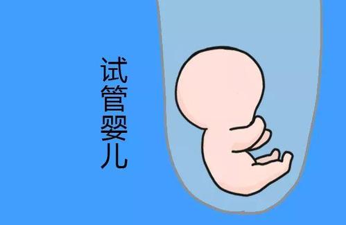 关于 代生儿子包性别